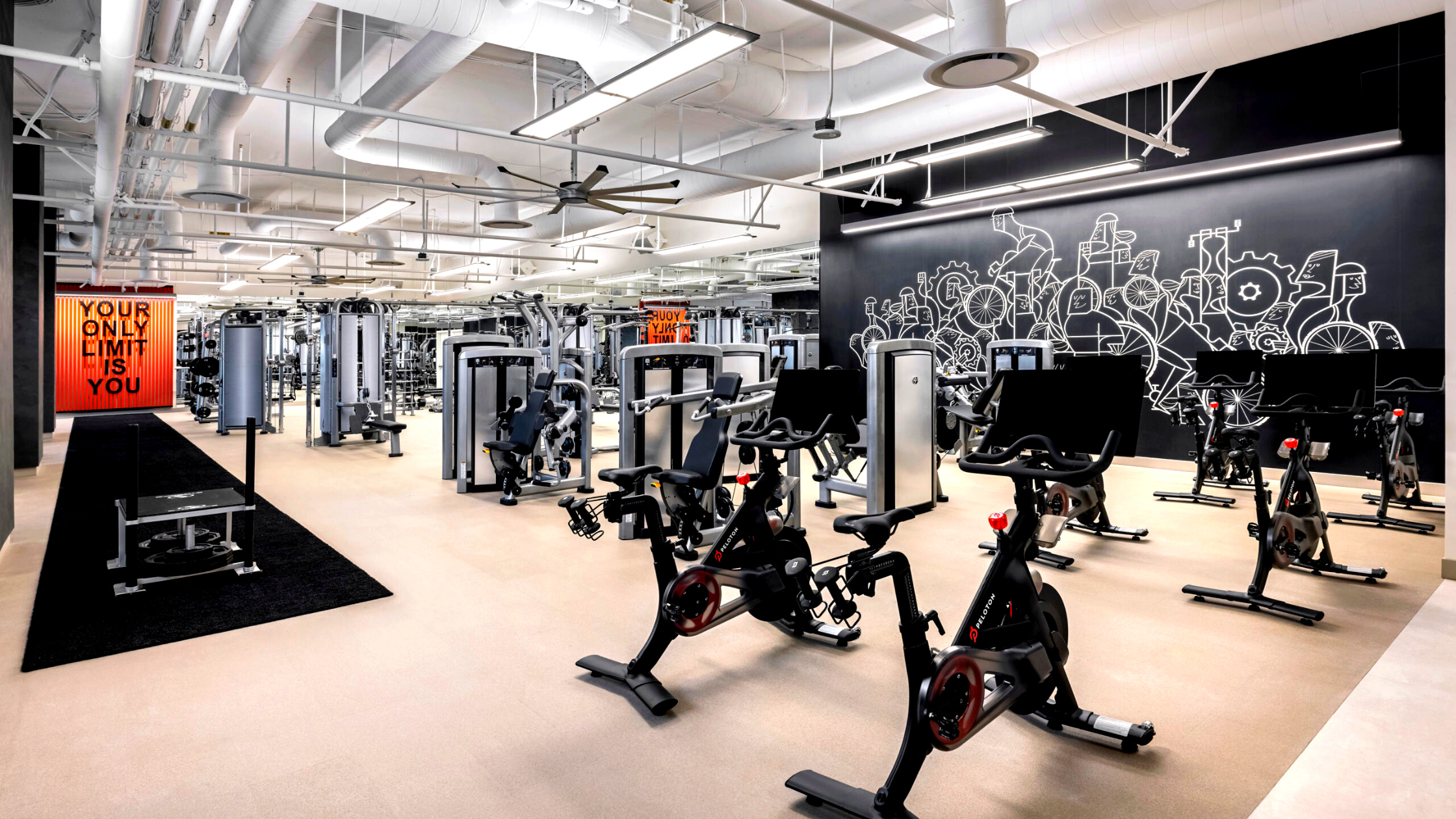 Gym equipment las vegas hotsell